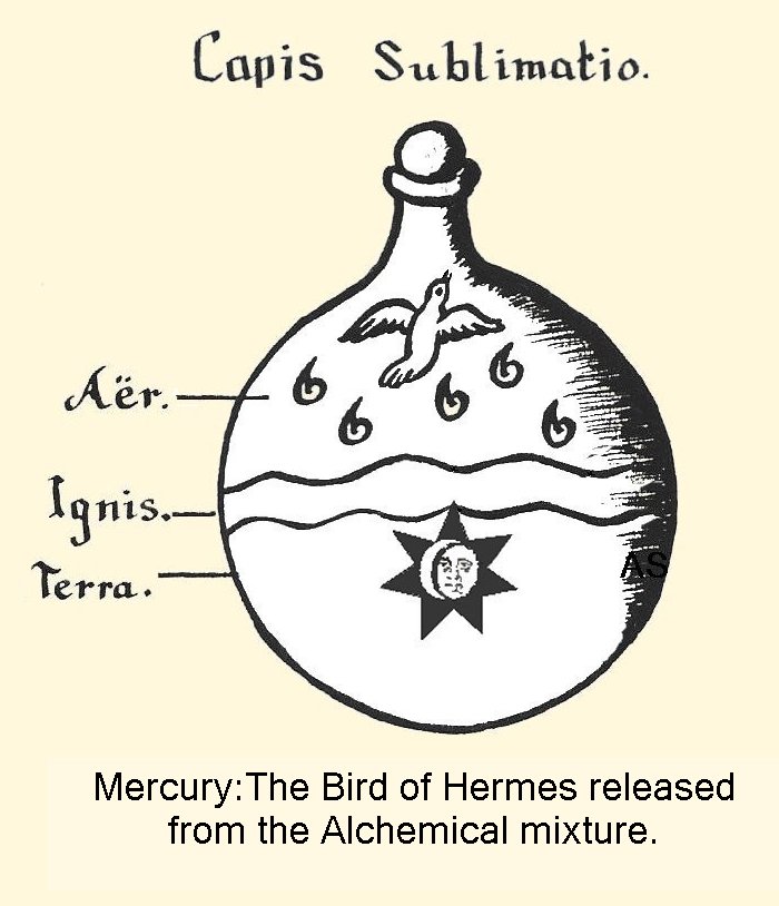 Bird of Hermes