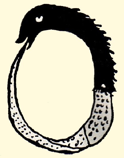 Ouroborus